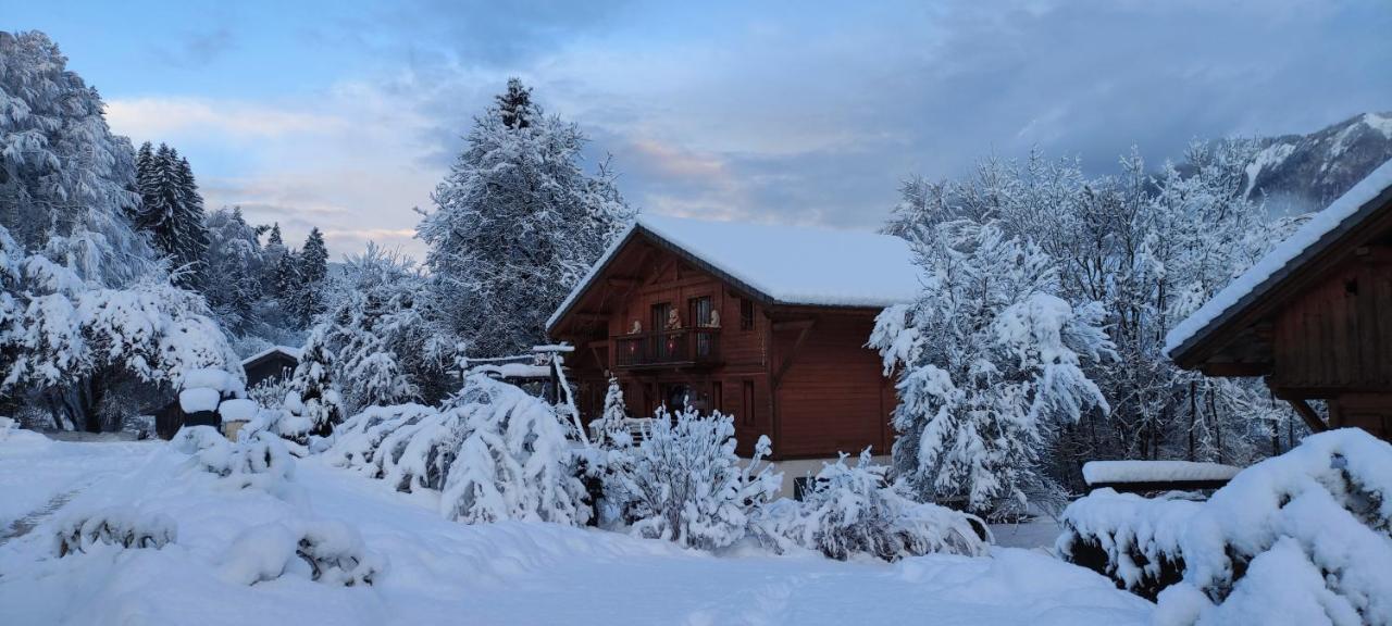 Chalet Les Vagnys - Lac Des Vernays La Riviere-Enverse Ngoại thất bức ảnh